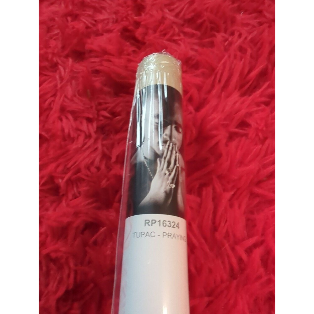 Trends International Tupac Shakur Tupac - Praying Poster Standard Roll